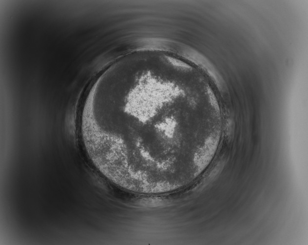 X0000087560882200705181122