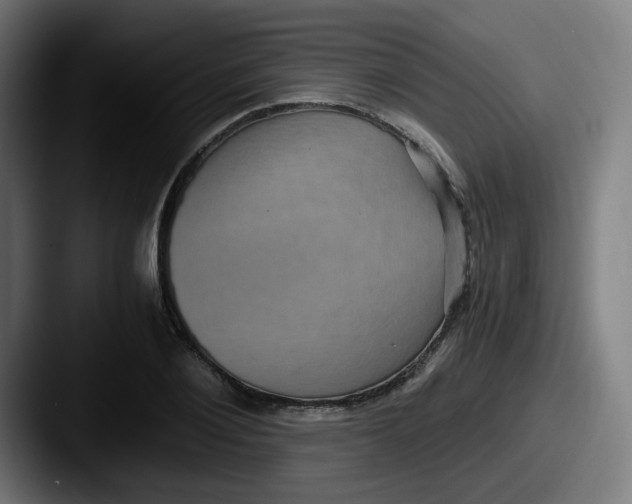 X0000087560884200705181122