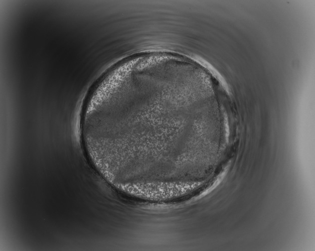 X0000087560885200705181122