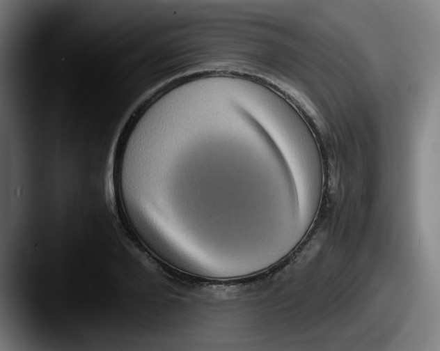 X0000087560888200705181122
