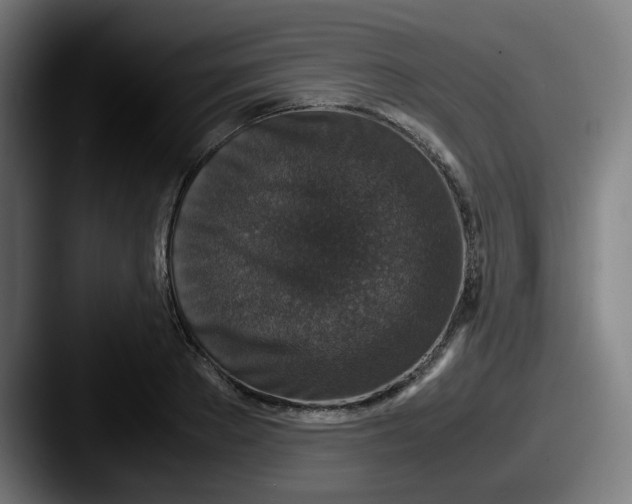 X0000087560889200705181122