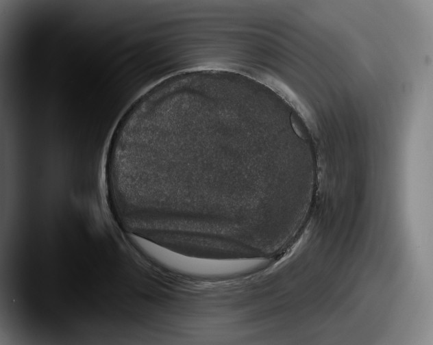 X0000087560892200705181122