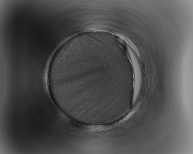 X0000087560893200705181122