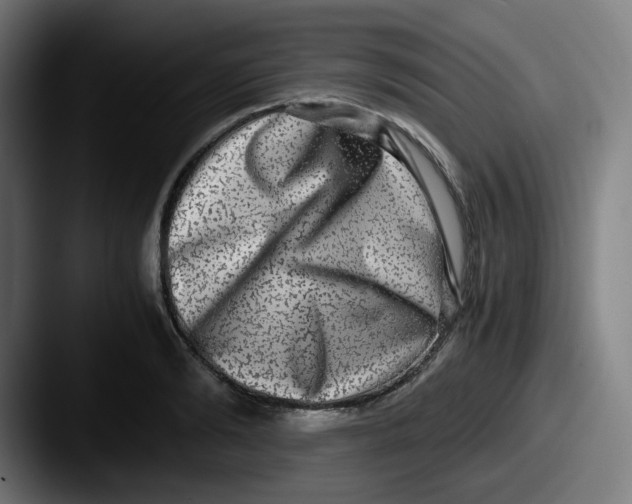 X0000087560894200705181122