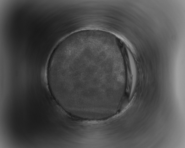 X0000087560896200705181122