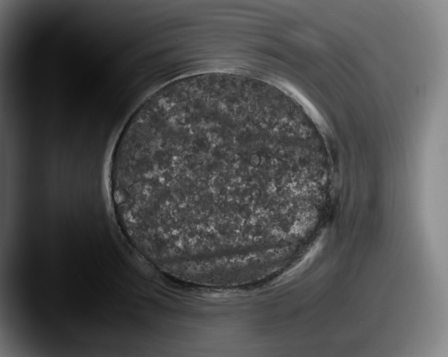 X0000087560899200705181122