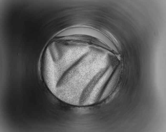 X0000087560900200705181122