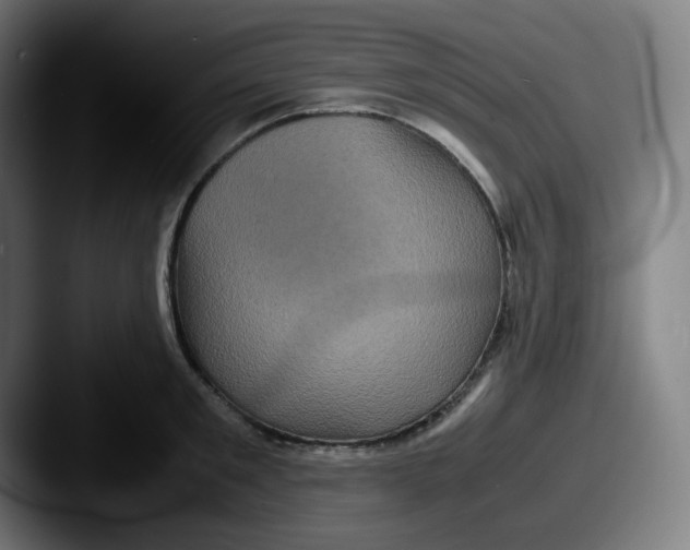 X0000087560901200705181122