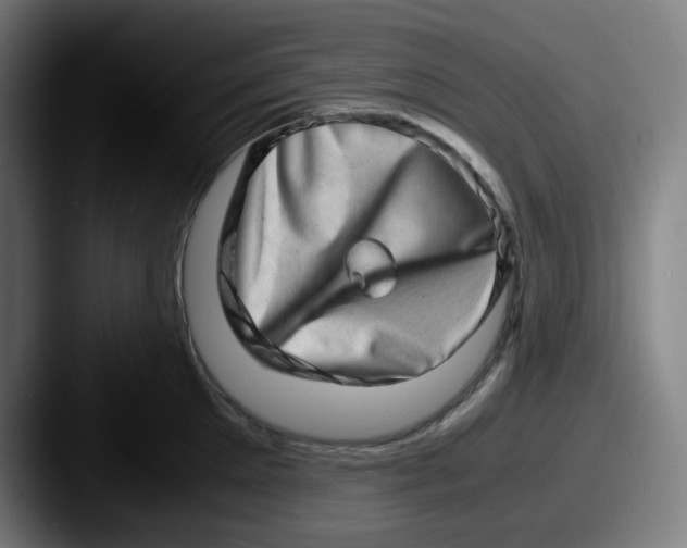 X0000087560905200705181122