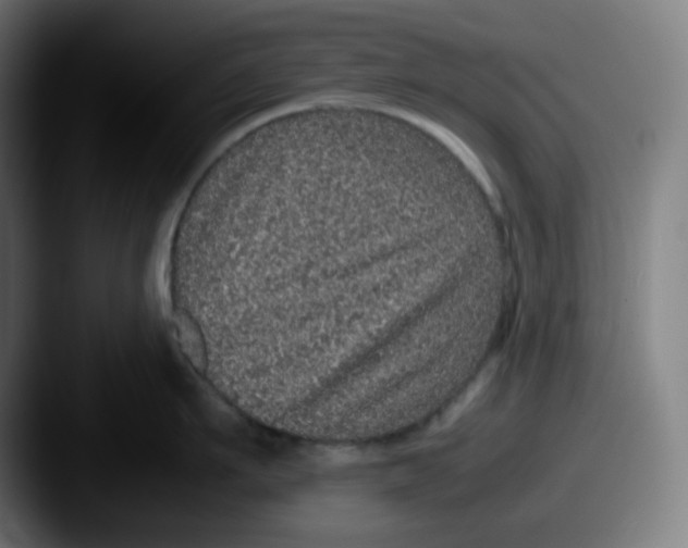 X0000087560911200705181122
