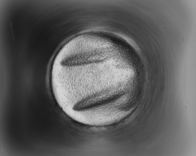 X0000087560912200705181122