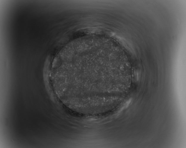 X0000087560913200705181122