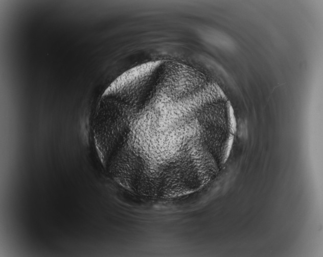 X0000087560915200705181122