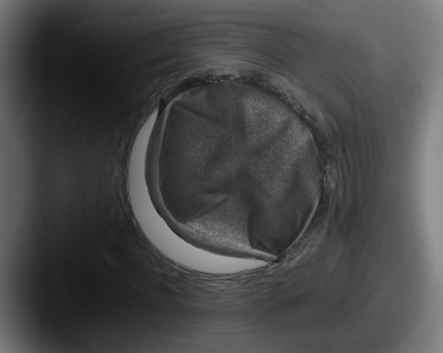 X0000087560916200705181122