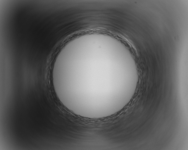 X0000087560920200705181122