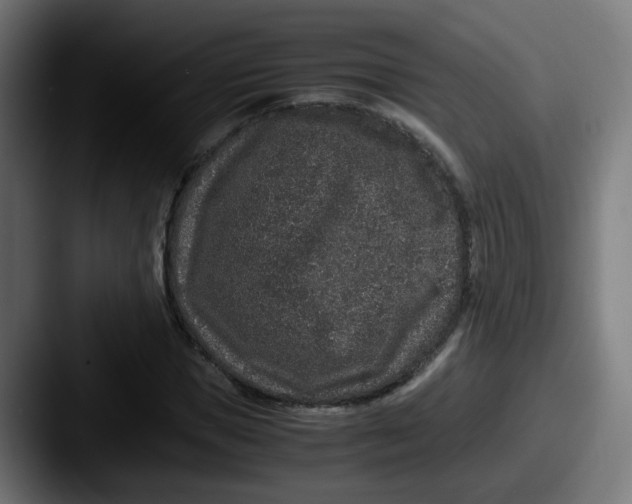 X0000087560921200705181122
