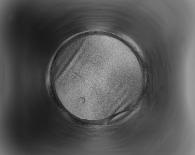 X0000087560924200705181122