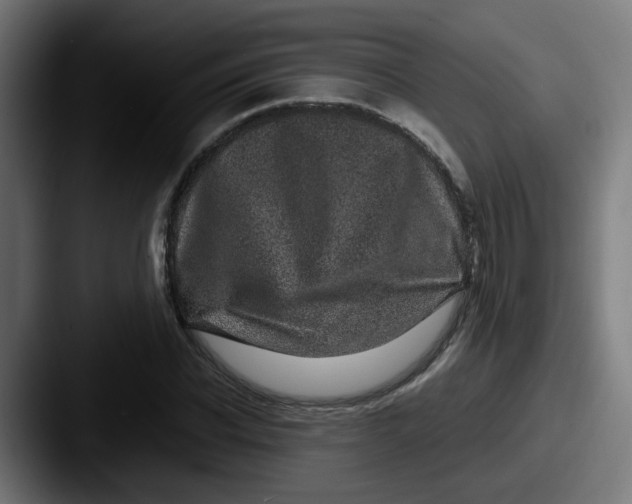 X0000087560926200705181122