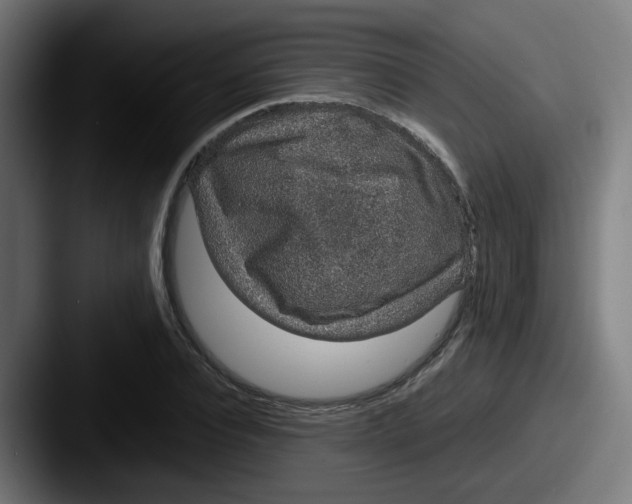 X0000087560928200705181122