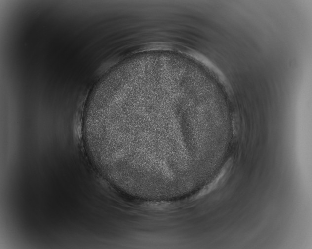 X0000087560929200705181122