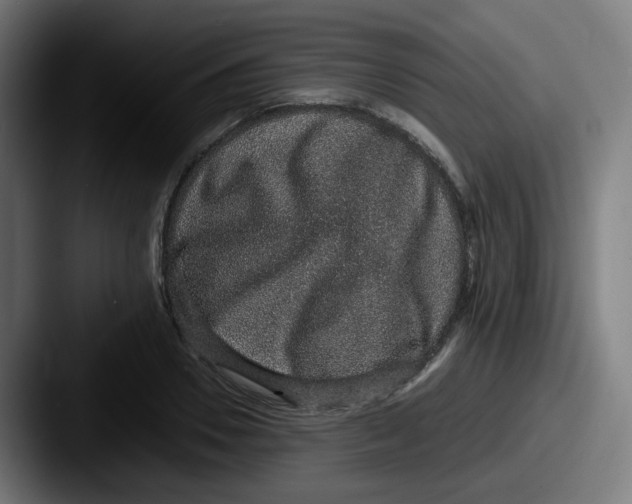 X0000087560930200705181122