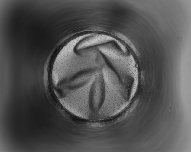 X0000087560931200705181122
