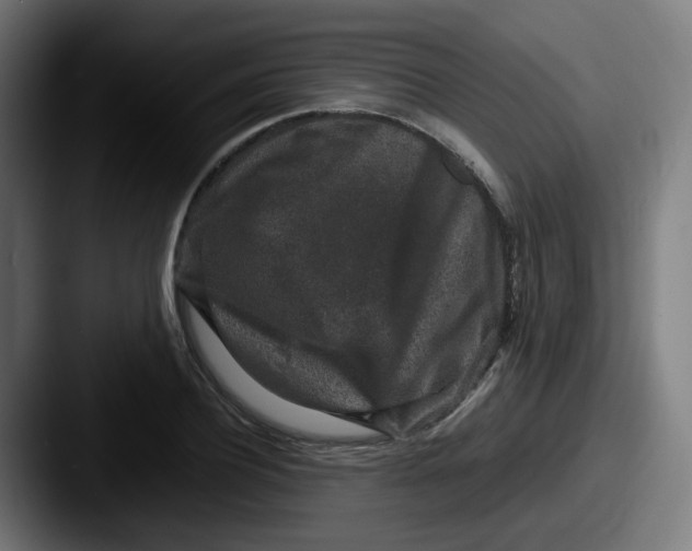 X0000087560932200705181122