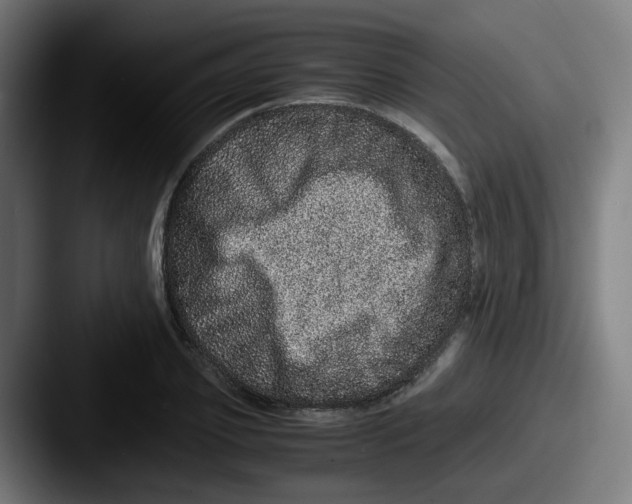X0000087560933200705181122