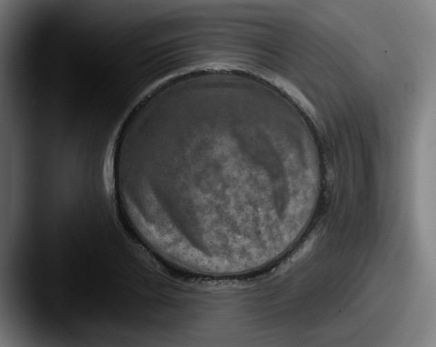 X0000087560934200705181122