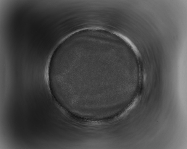 X0000087560935200705181122