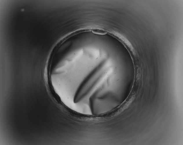 X0000087560936200705181122
