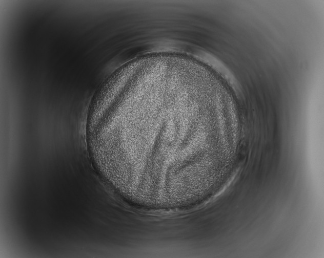 X0000087560937200705181122