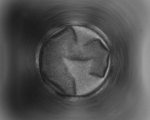 X0000087560938200705181122