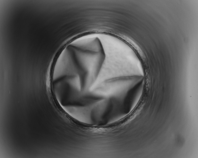X0000087560940200705181122