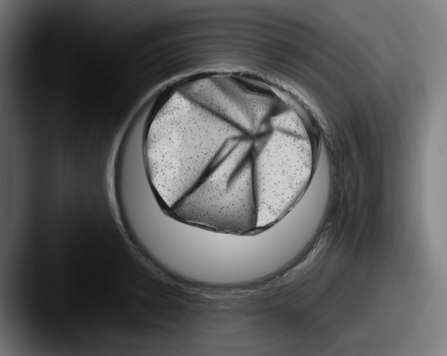 X0000087560942200705181122