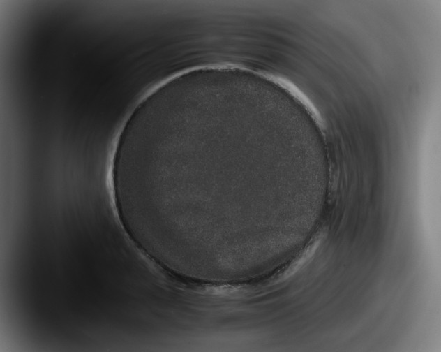 X0000087560943200705181122