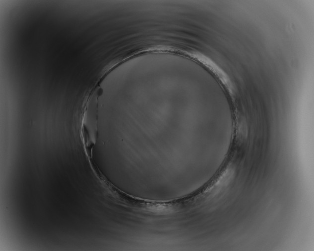 X0000087560945200705181122