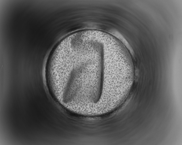 X0000087560947200705181122