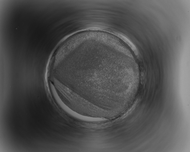 X0000087560948200705181122