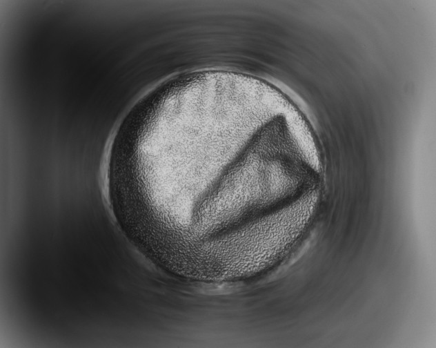 X0000087560949200705181122