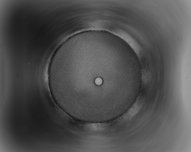 X0000087560950200705181122