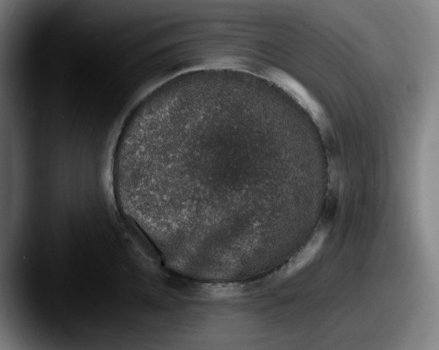 X0000087560952200705181122