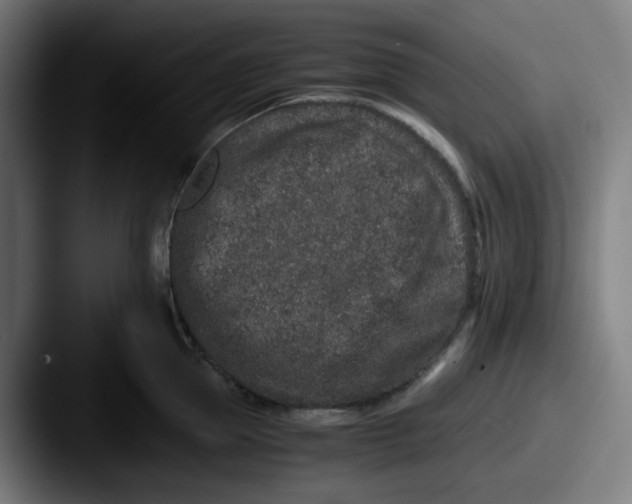 X0000087560953200705181122