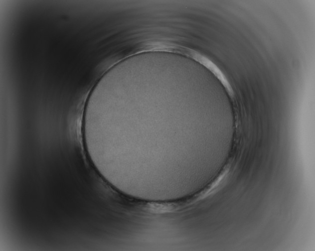 X0000087560954200705181122