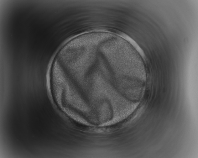 X0000087560955200705181122