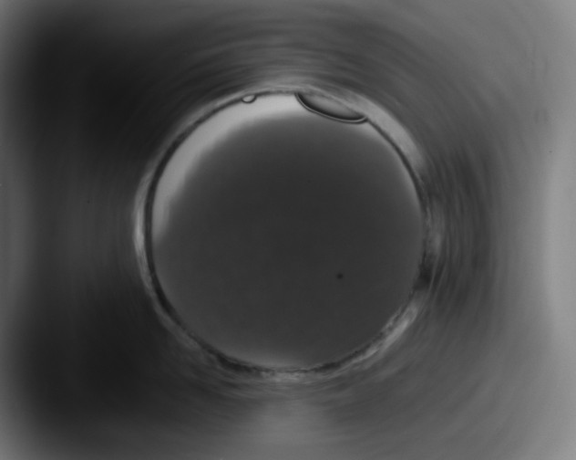 X0000087560958200705181122