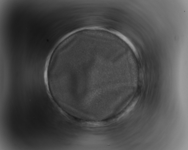 X0000087560959200705181122