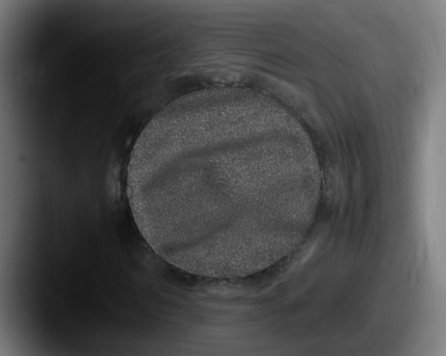 X0000087560962200705181121