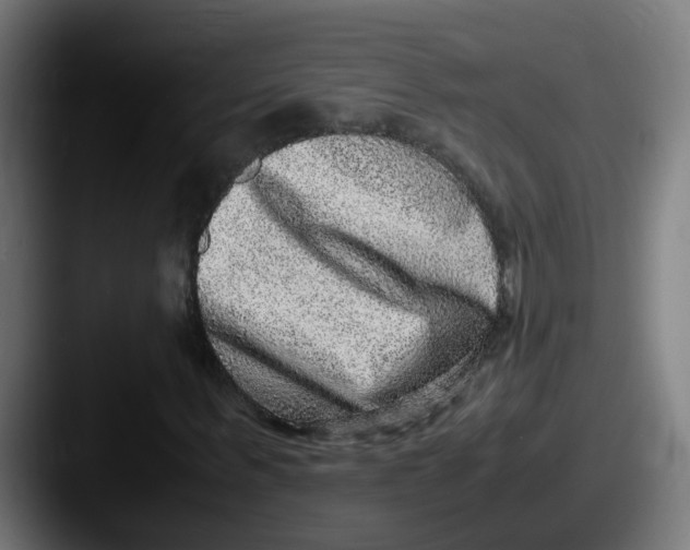 X0000087560963200705181121