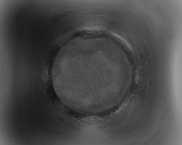 X0000087560966200705181121